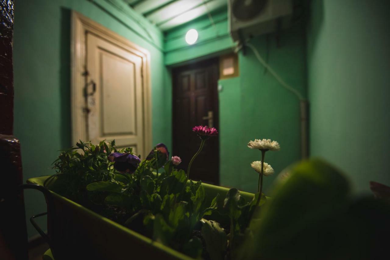 Cozy Apartment In Center Of Old Tbilisi Exteriör bild